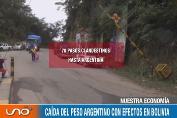 NUESTRA ECONOMÍA: CAÍDA DEL PESO ARGENTINO CON EFECTOS EN BOLIVIA
