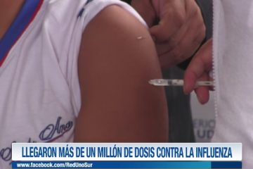 LLEGARON MÁS DE UN MILLÓN DE VACUNAS CONTRA LA INFLUENZA