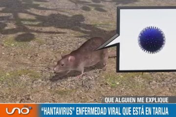 QUÉ ALGUIEN ME EXPLIQUE: “HANTAVIRUS” ENFERMEDAD VIRAL