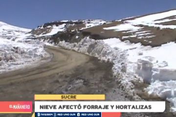 NIEVE AFECTÓ FORRAJE Y HORTALIZAS