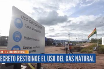 DECRETO RESTRINGE EL USO DEL GAS NATURAL