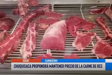 CHUQUISACA PROPONDRÁ MANTENER PRECIO DE LA CARNE DE RES