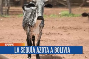 LA SEQUÍA AZOTA A BOLIVIA