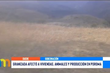 GRANIZADA AFECTÓ A VIVIENDAS, ANIMALES Y PRODUCCIÓN EN POROMA