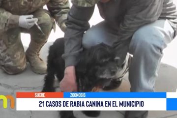 21 CASOS DE RABIA CANINA EN EL MUNICIPIO