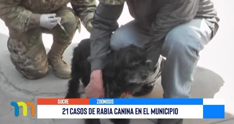 21 CASOS DE RABIA CANINA EN EL MUNICIPIO